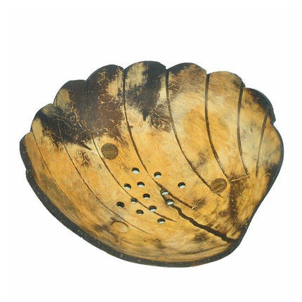 Snäckformad tvålkopp av kokosnötsskal